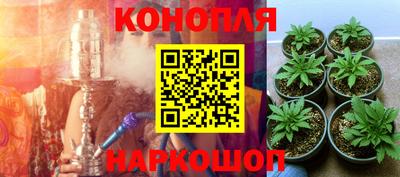 PSILOCYBIN Обь